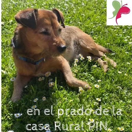Casa Pin Reocín de los Molinos